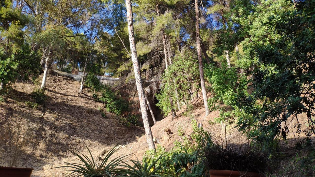 Fabulosa Casa Del Arbol Málaga Eksteriør billede